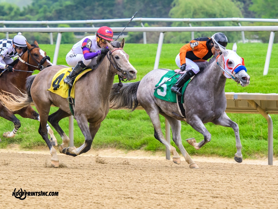 Iridesse winning at Delaware Park on 5/4/19